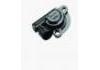 Throttle Position Sensor: